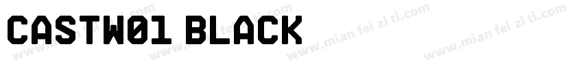CastW01 Black字体转换